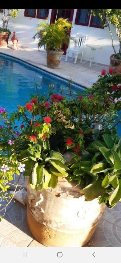 Palmita Hotel Hostel Ораниестад Екстериор снимка