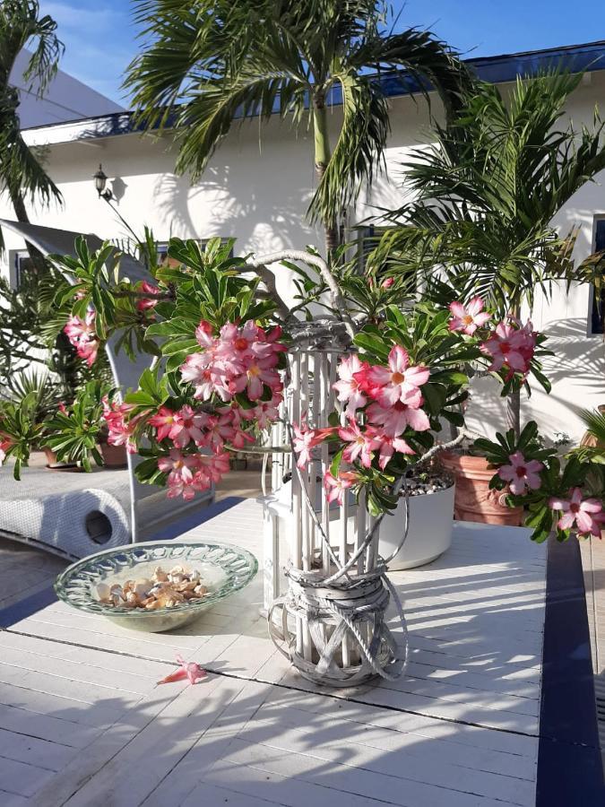 Palmita Hotel Hostel Ораниестад Екстериор снимка