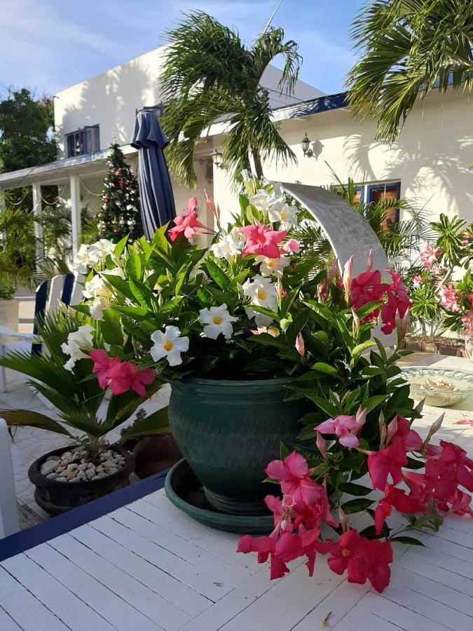 Palmita Hotel Hostel Ораниестад Екстериор снимка