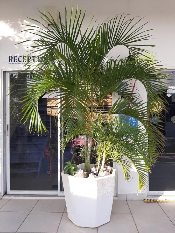 Palmita Hotel Hostel Ораниестад Екстериор снимка
