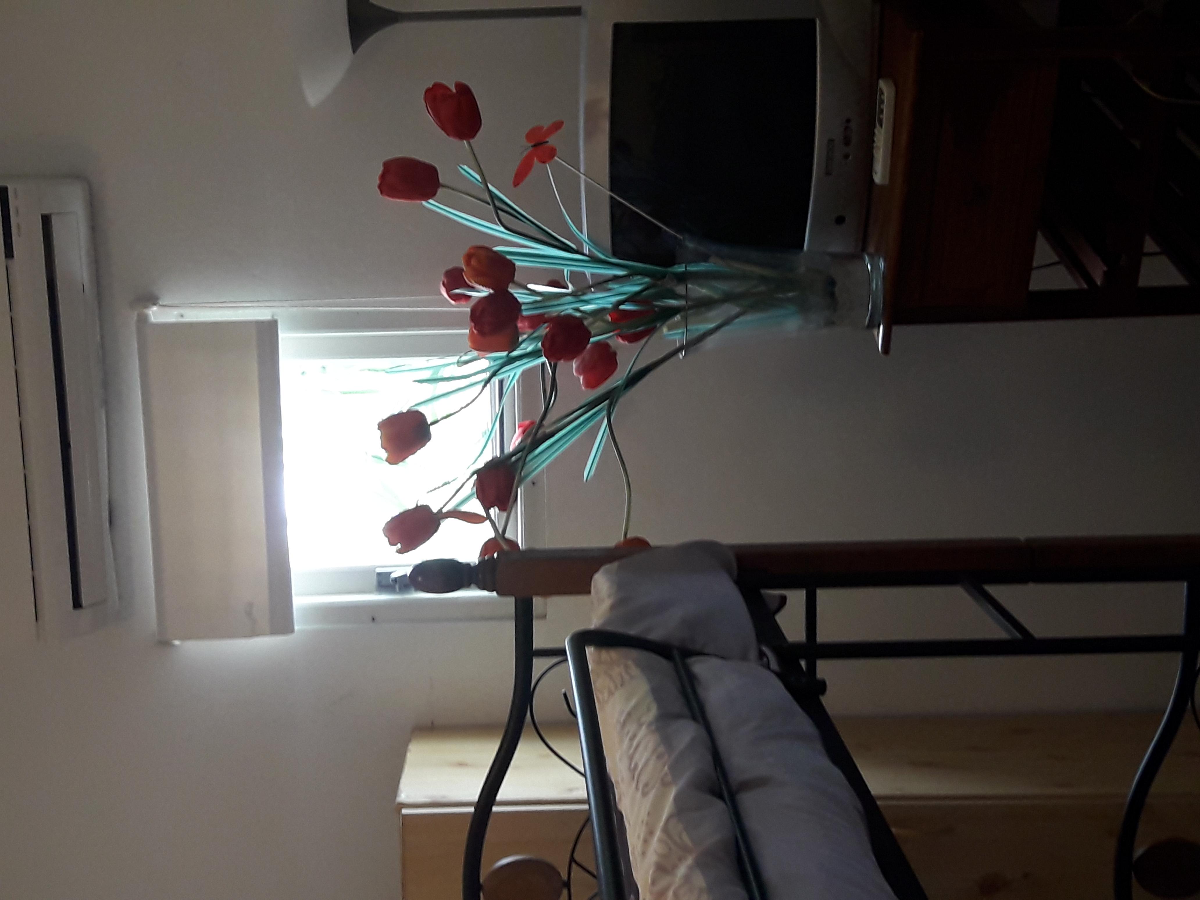 Palmita Hotel Hostel Ораниестад Екстериор снимка
