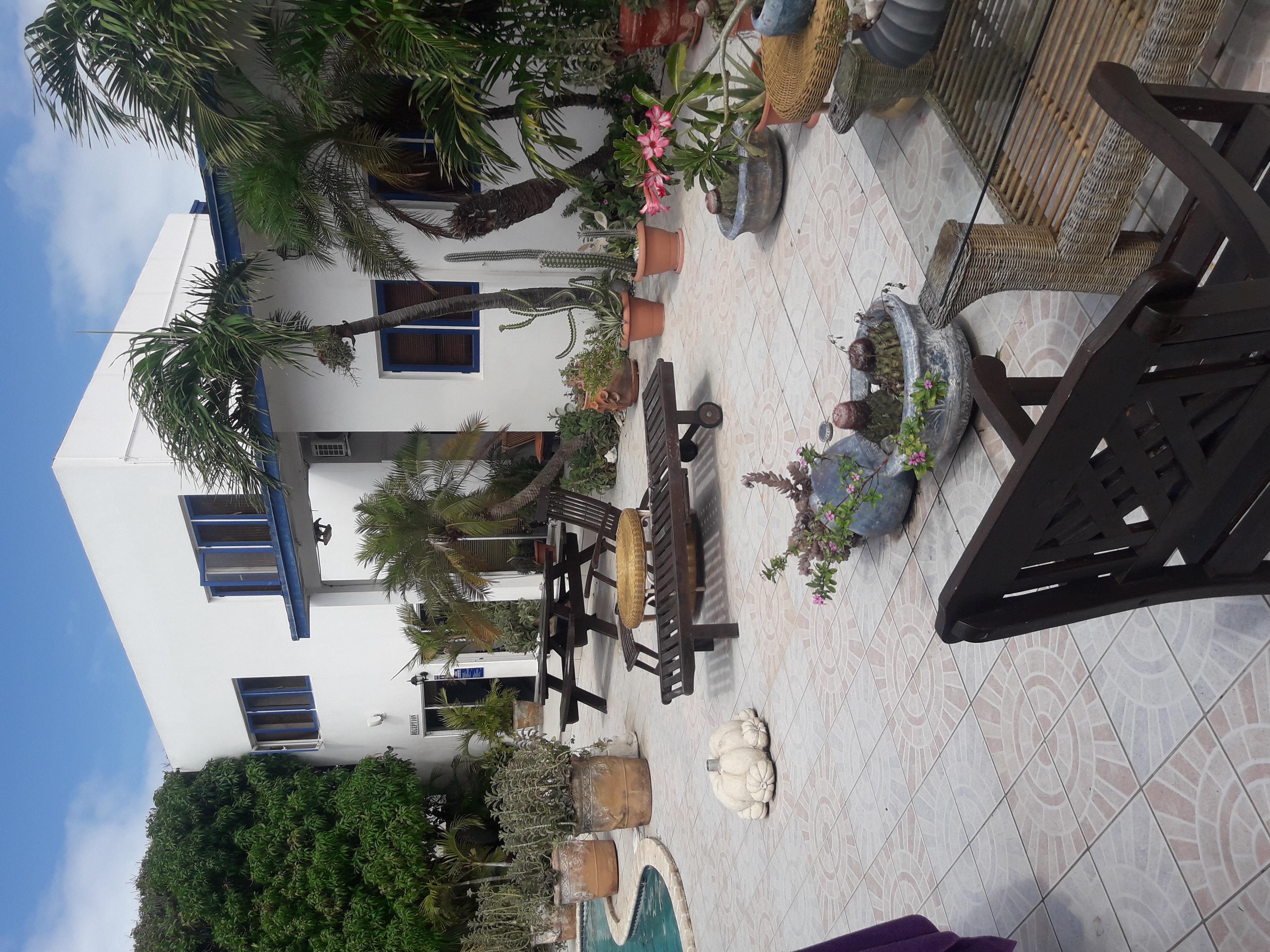 Palmita Hotel Hostel Ораниестад Екстериор снимка