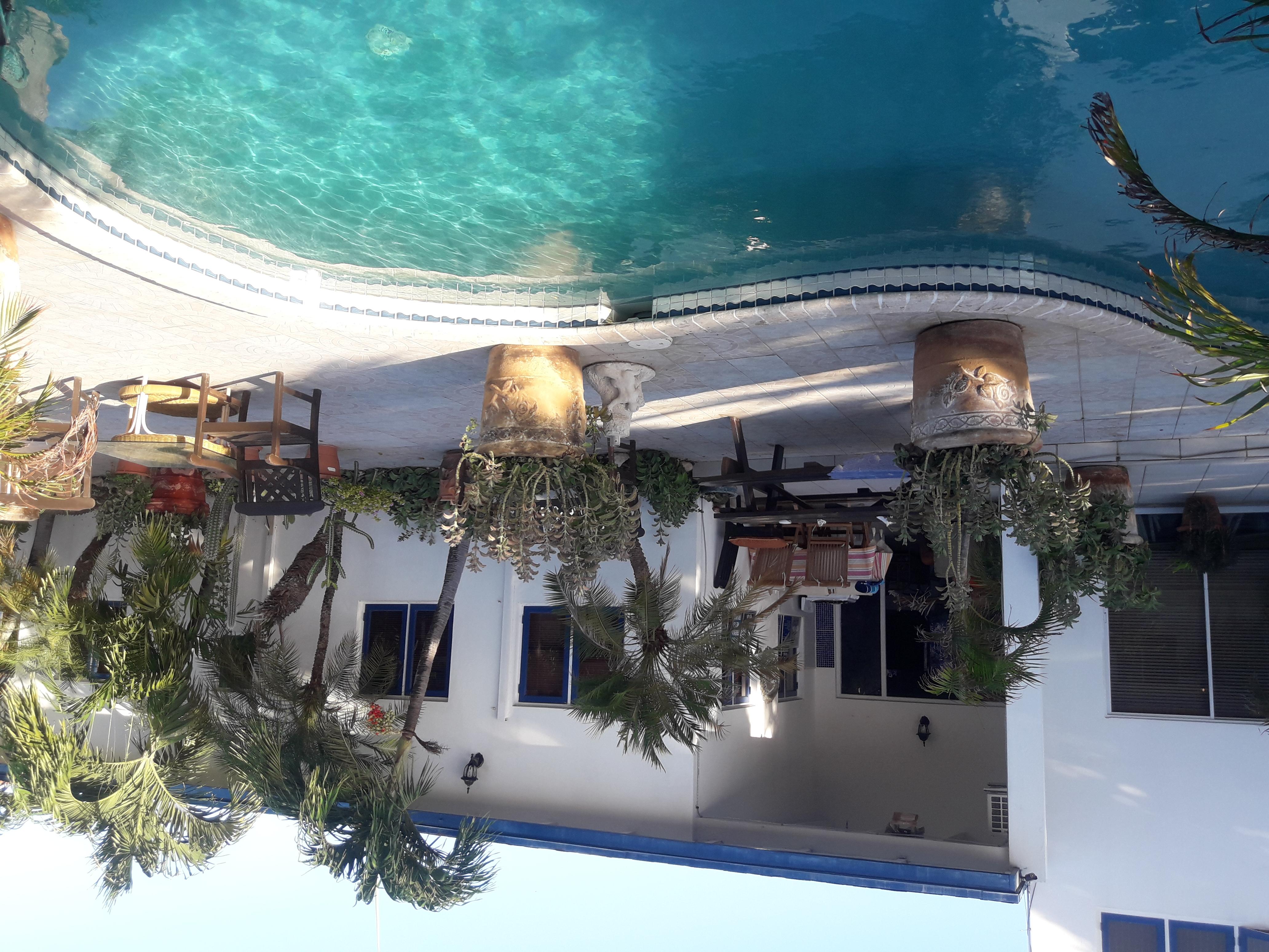Palmita Hotel Hostel Ораниестад Екстериор снимка
