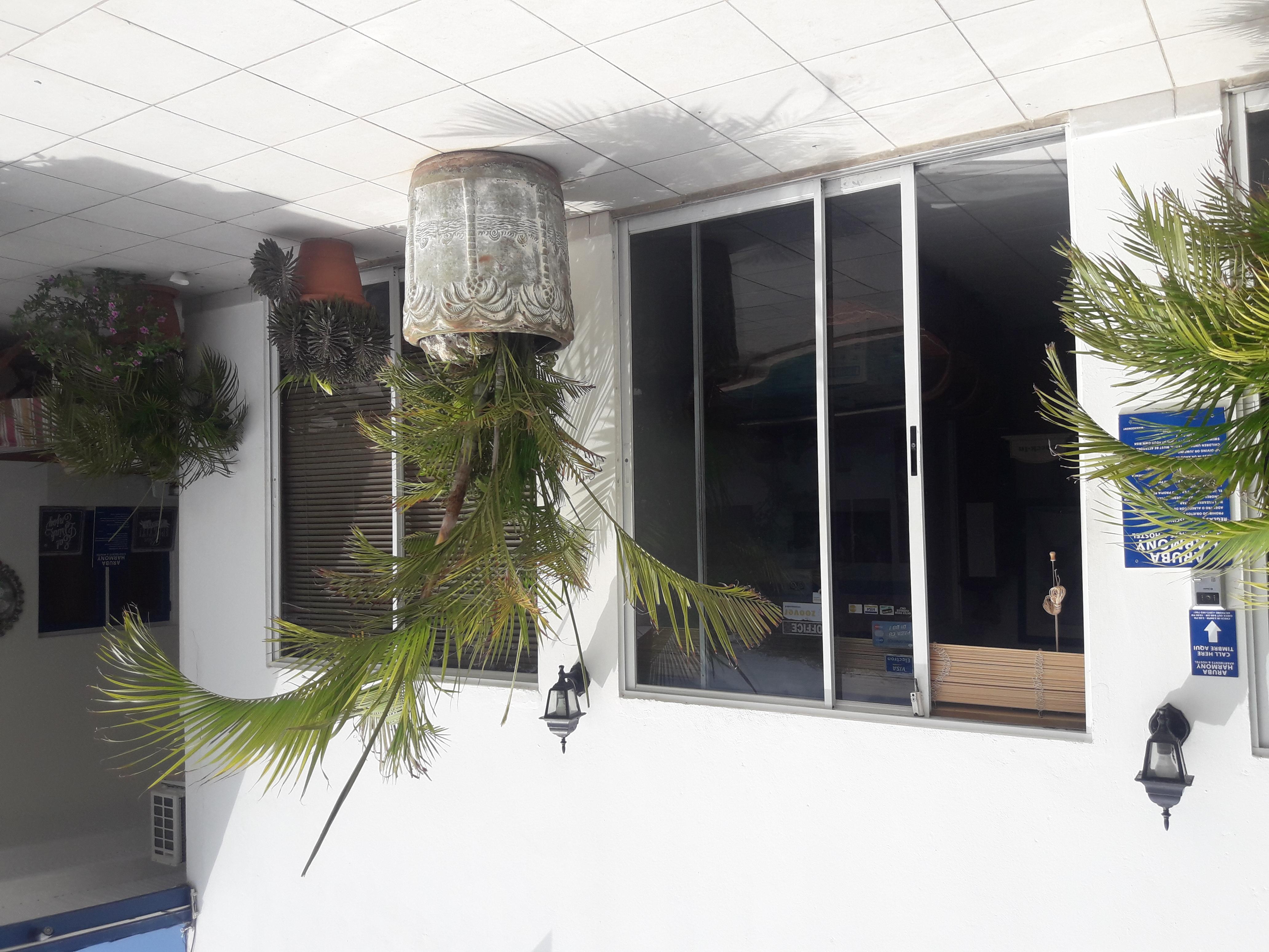 Palmita Hotel Hostel Ораниестад Екстериор снимка