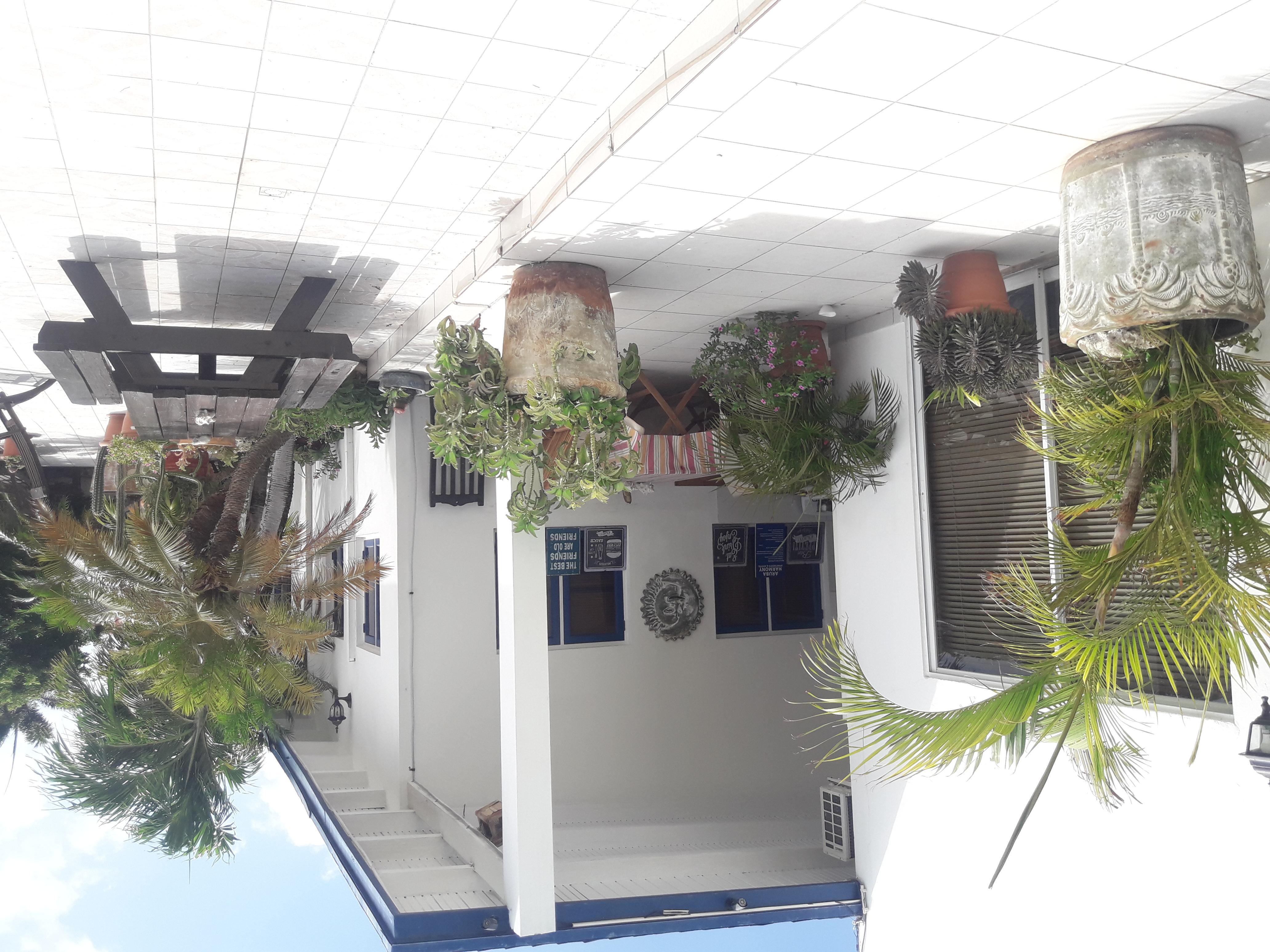Palmita Hotel Hostel Ораниестад Екстериор снимка