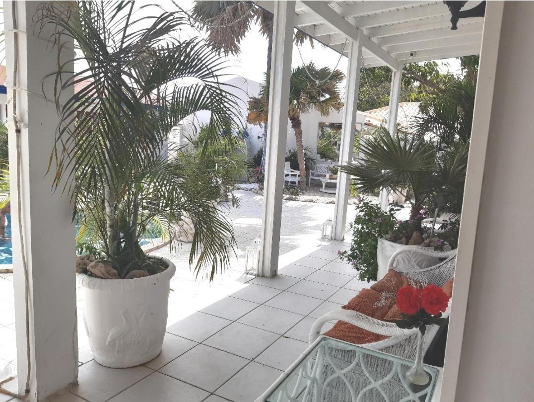 Palmita Hotel Hostel Ораниестад Екстериор снимка